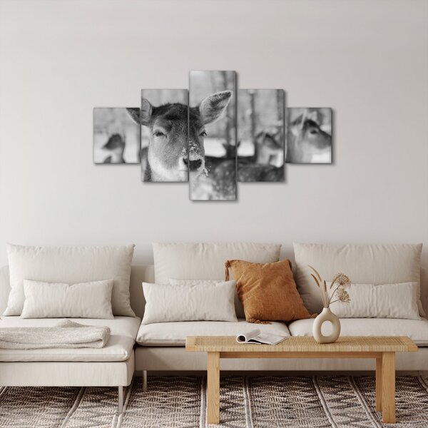 Obraz - Jelonki, czarno - biały (125x70 cm)
