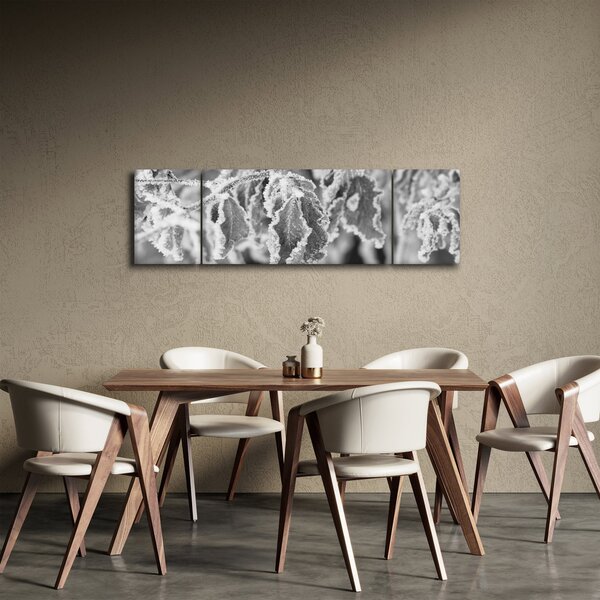 Obraz - Zmarznięte liście, czarno - biały (170x50 cm)