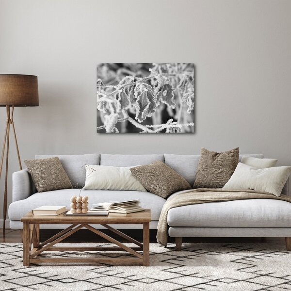 Obraz - Zmarznięte liście, czarno - biały (70x50 cm)