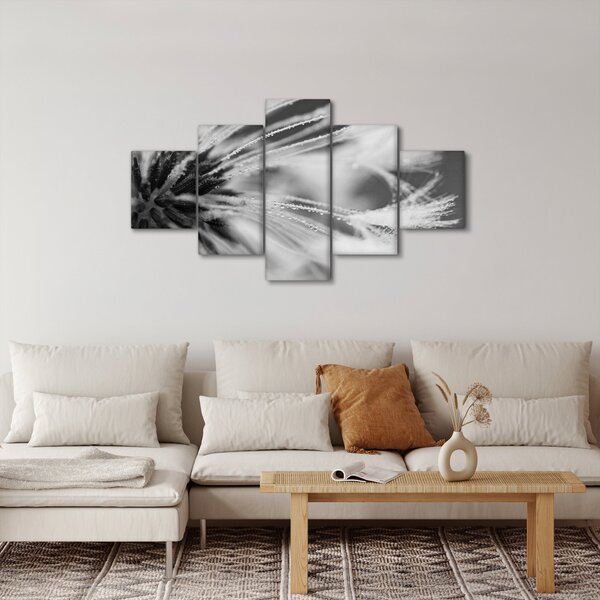 Obraz - Makro, czarno - biały (125x70 cm)