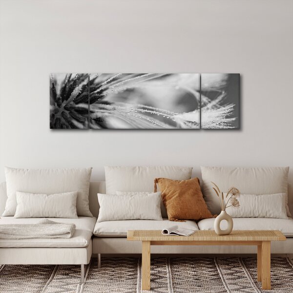 Obraz - Makro, czarno - biały (170x50 cm)
