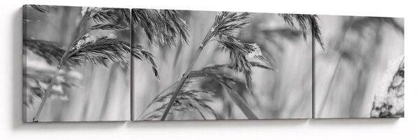 Obraz - Lipnice, czarno - biały (170x50 cm)