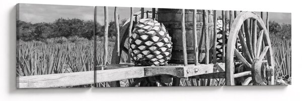 Obraz - Przyczepka, czarno - biały (170x50 cm)