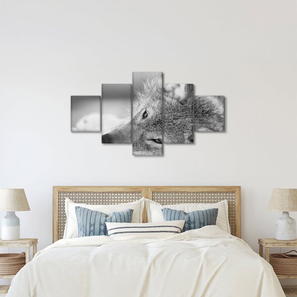 Obraz - Wilk, czarno - biały (125x70 cm)