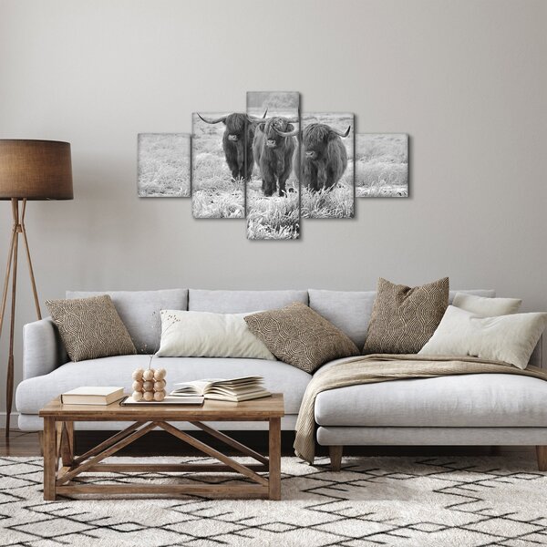 Obraz - Szkockie krowy, czarno - biały (125x70 cm)