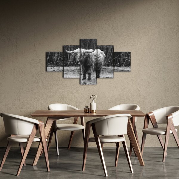 Obraz - Szkocka krowa 3, czarno - biały (125x70 cm)