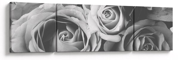 Obraz - Róża, czarno - biały (170x50 cm)