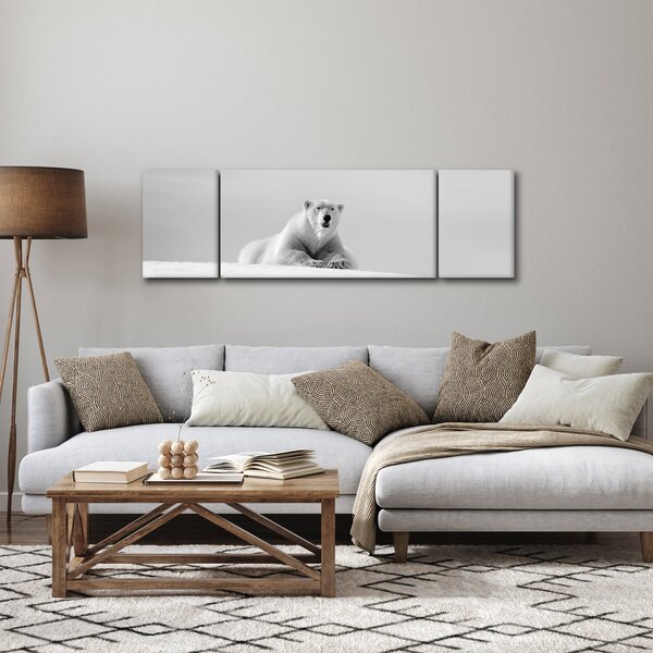 Obraz - Niedźwiedź polarny, czarno - biały (170x50 cm)