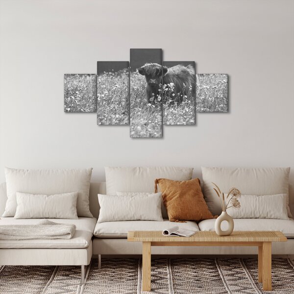 Obraz - Szkocka krowa 5, czarno - biały (125x70 cm)