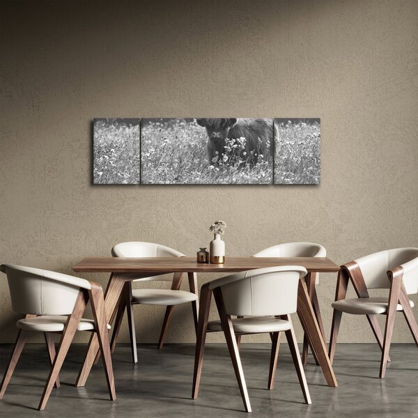 Obraz - Szkocka krowa 5, czarno - biały (170x50 cm)