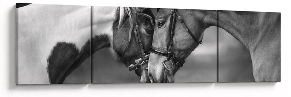 Obraz - Zakochane konie, czarno - biały (170x50 cm)