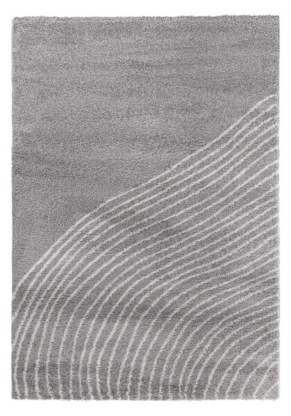 Szary dywan 160x230 cm Coastalina – Bonami Selection