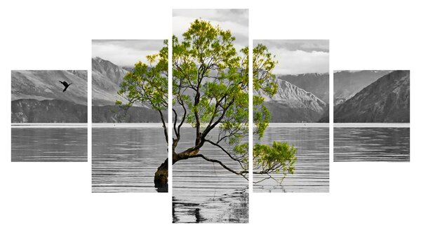 Obraz drzewa na środku jeziora (125x70 cm)