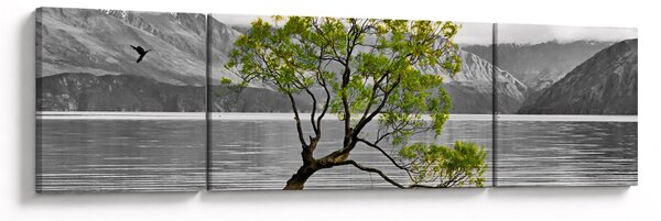 Obraz drzewa na środku jeziora (170x50 cm)