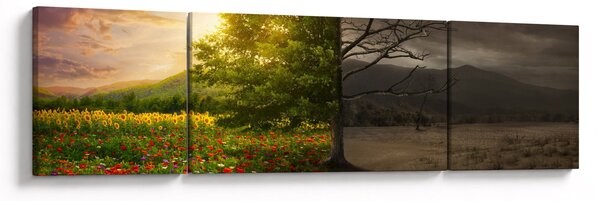 Obraz - Cykl życia (170x50 cm)