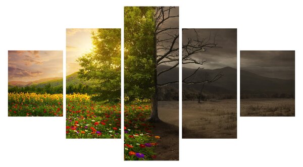 Obraz - Cykl życia (125x70 cm)
