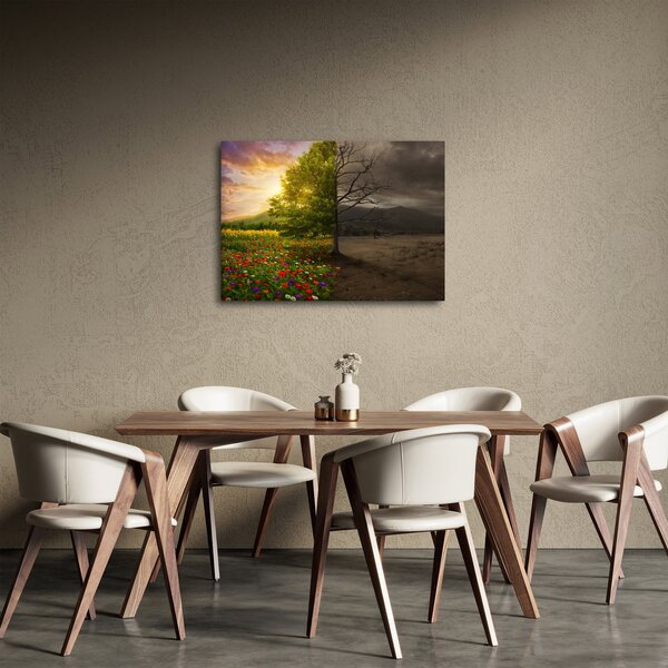 Obraz - Cykl życia (70x50 cm)