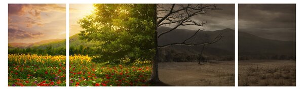 Obraz - Cykl życia (170x50 cm)
