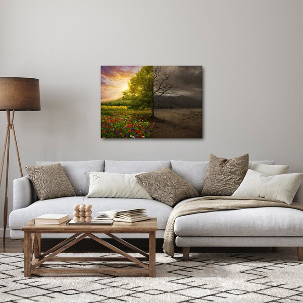 Obraz - Cykl życia (70x50 cm)