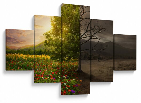 Obraz - Cykl życia (125x70 cm)