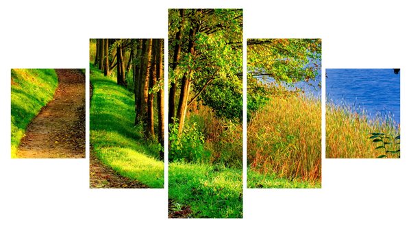 Obraz szlaku wzdłuż wody (125x70 cm)