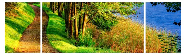 Obraz szlaku wzdłuż wody (170x50 cm)