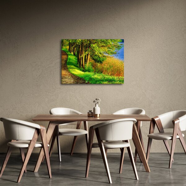 Obraz szlaku wzdłuż wody (70x50 cm)