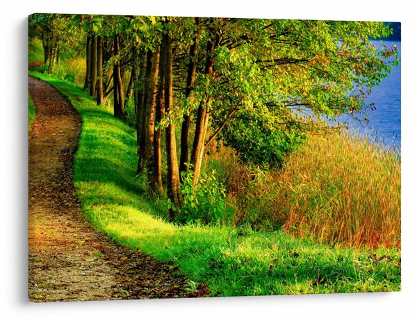 Obraz szlaku wzdłuż wody (70x50 cm)