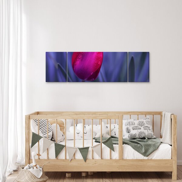 Obraz pąka tulipana (170x50 cm)