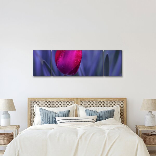 Obraz pąka tulipana (170x50 cm)