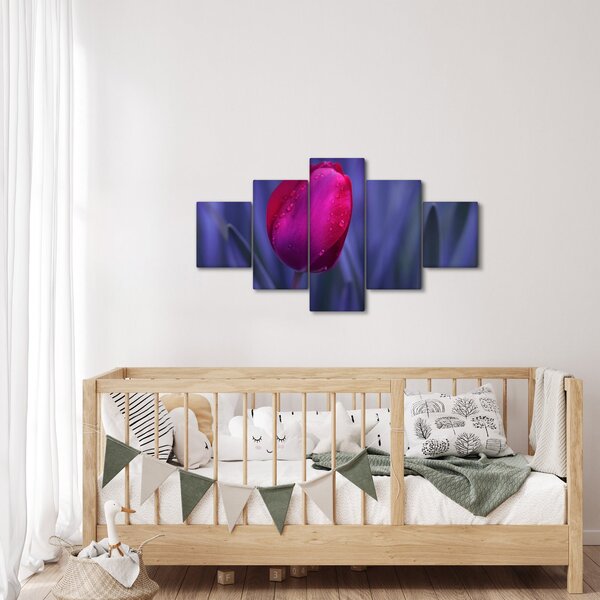 Obraz pąka tulipana (125x70 cm)
