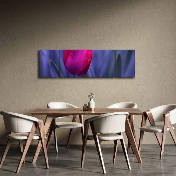 Obraz pąka tulipana (170x50 cm)