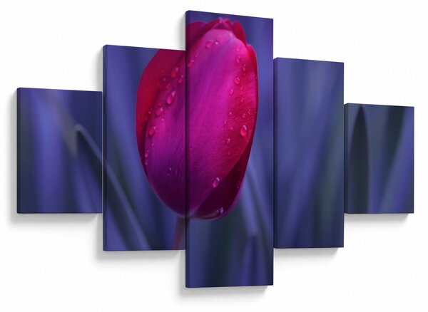 Obraz pąka tulipana (125x70 cm)