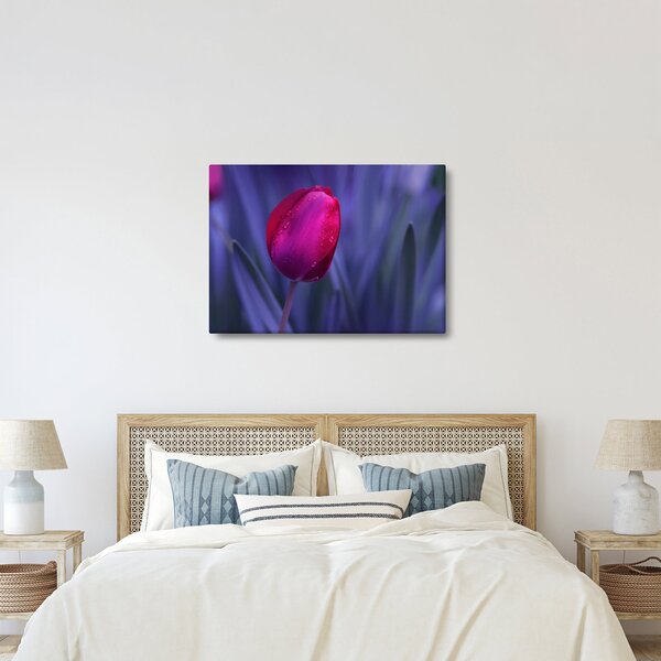 Obraz pąka tulipana (70x50 cm)