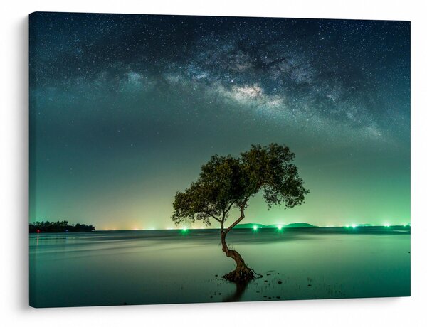 Obraz nocnego nieba (70x50 cm)