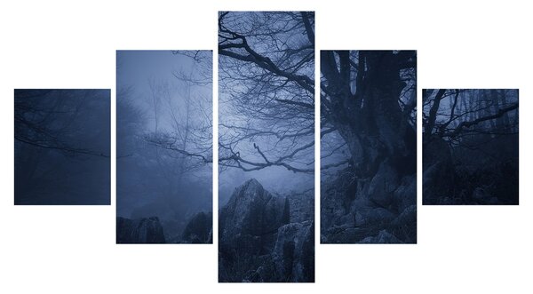 Obraz ciemnego lasu (125x70 cm)