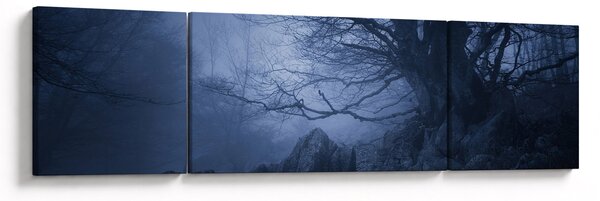 Obraz ciemnego lasu (170x50 cm)