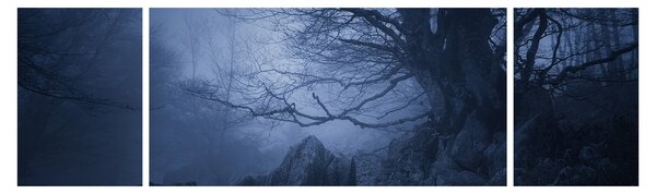 Obraz ciemnego lasu (170x50 cm)