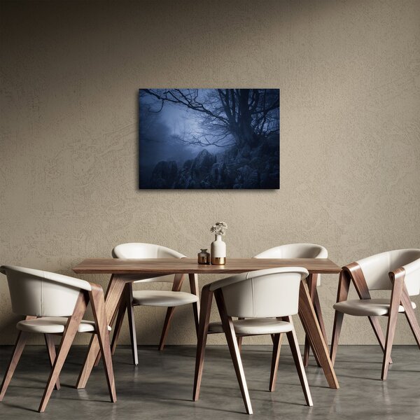 Obraz ciemnego lasu (70x50 cm)