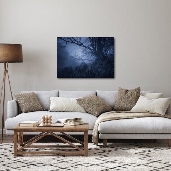 Obraz ciemnego lasu (70x50 cm)