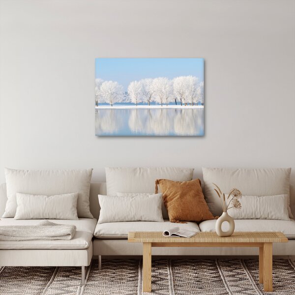 Obraz zimowego krajobrazu (70x50 cm)