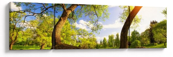 Obraz wiosennej łąki (170x50 cm)