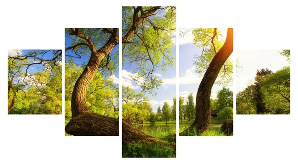 Obraz wiosennej łąki (125x70 cm)