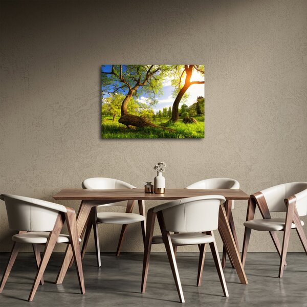 Obraz wiosennej łąki (70x50 cm)