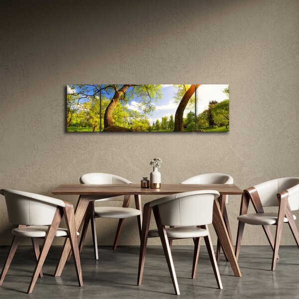 Obraz wiosennej łąki (170x50 cm)