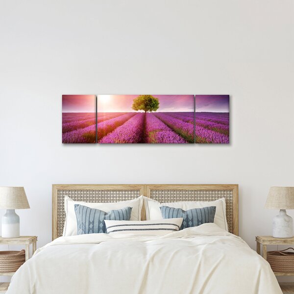 Obraz pola z lawendą (170x50 cm)