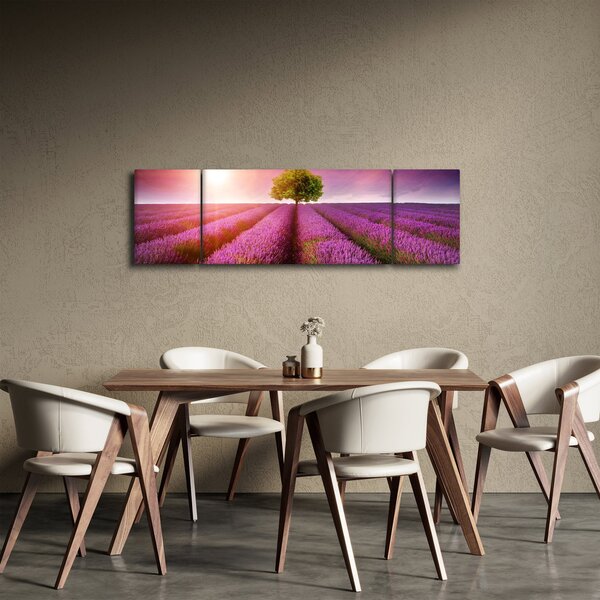 Obraz pola z lawendą (170x50 cm)