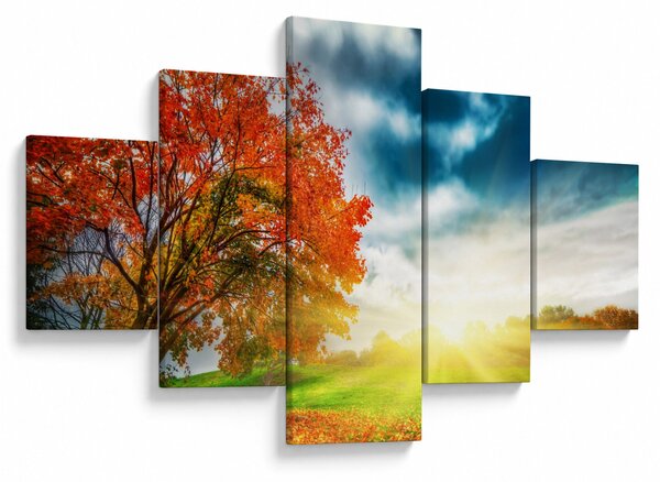 Obraz skąpanego w słońcu krajobrazu (125x70 cm)