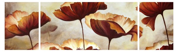 Obraz czerwonych kwiatów (170x50 cm)