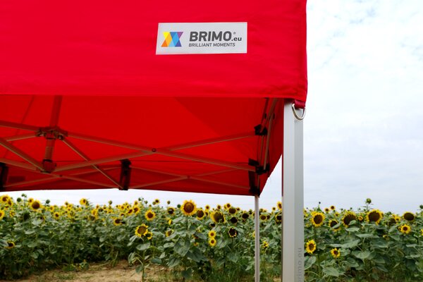 Premiumowy namiot imprezowy 3x3m Aluminium | Najwyższa wytrzymałość - plus 3 ściany - Czarny
